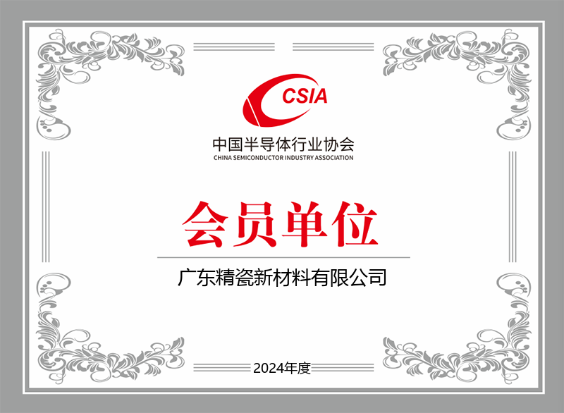 Member of China Semiconductor Industry Association